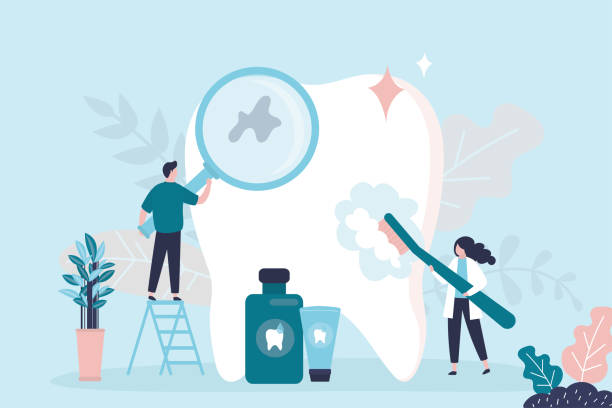 Best Traditional Braces  in Menands, NY